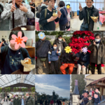 信玄餅アイスを食べました☻